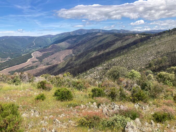 Conoce el Valle del Árrago